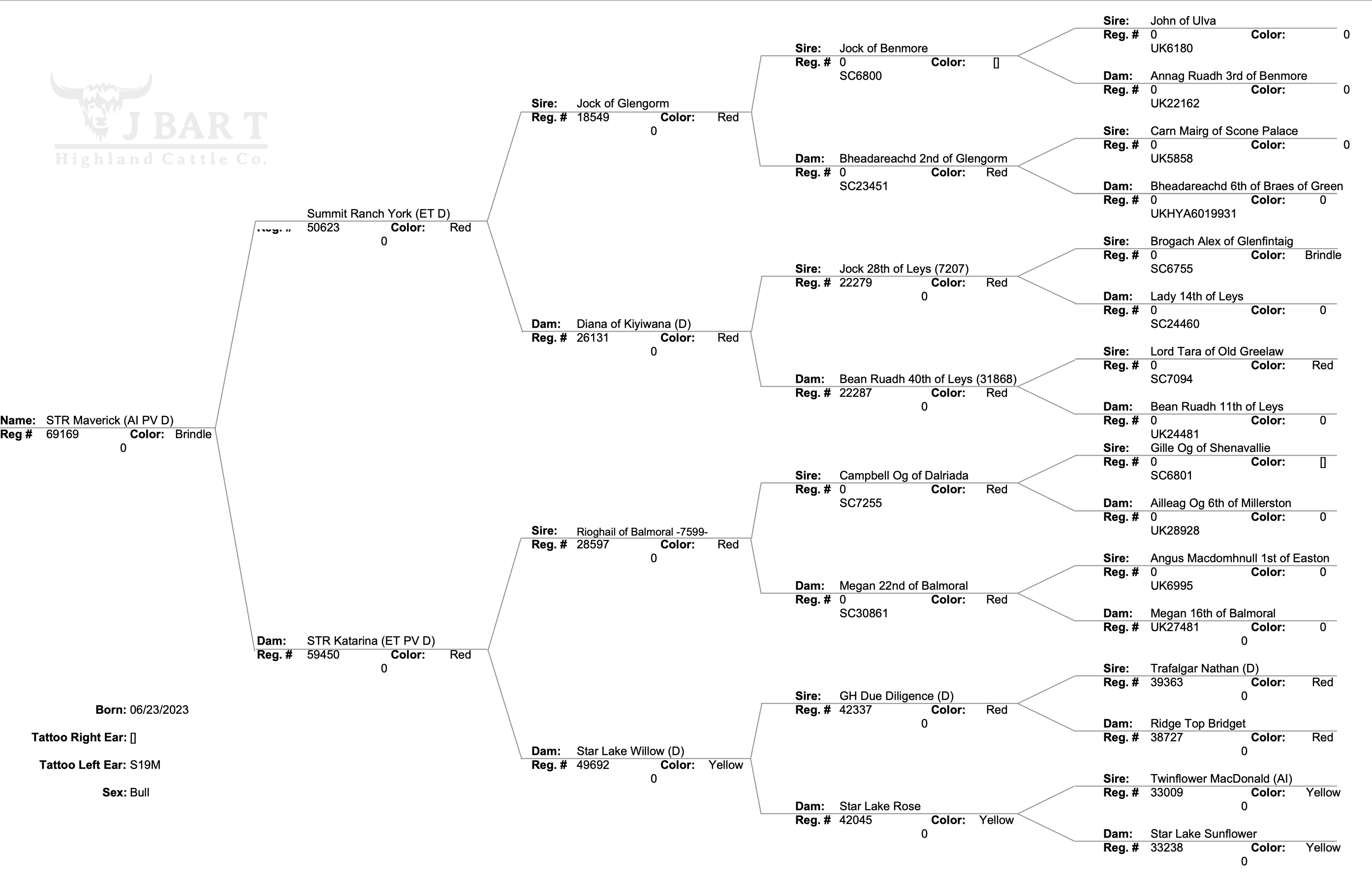 STR Maverick five-generation pedigree